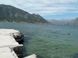 Apartman Milena 1 - Kotor - 3