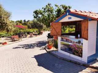 Monte Família Ferreira - Vale de Açor - 9