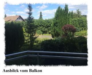FeWo Eulennestchen-Harz - Altenau - 8