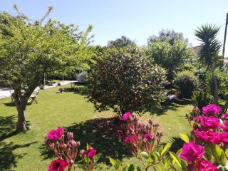 A Quinta das Bolboretas - 2