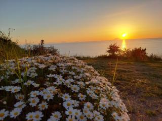 Villa Nausica - Capo Vaticano - 8