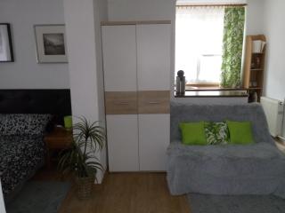 Giżycko Studio Apartament - 4