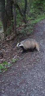 Appartement Lens - 1