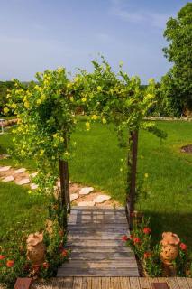 Maison cosy avec jardin à Anse-Bertrand - 2