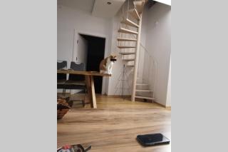 Urlaub machen wo andere arbeiten :) - 4