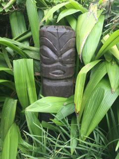 TE PUKA ESTATE Group & Function Venue - Rarotonga - 7