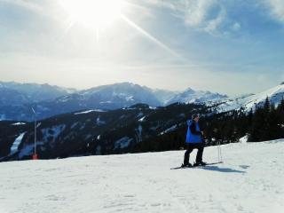 Aparthotel Pinzgau - 2