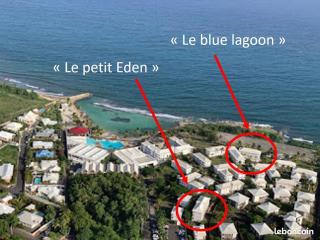 Le petit Eden - Résidence 3 étoiles - Piscine et plage "Le Manganao" - Saint-François - 6