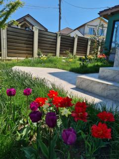 Vila Fara Nume - Mamaia Nord – Năvodari - 3