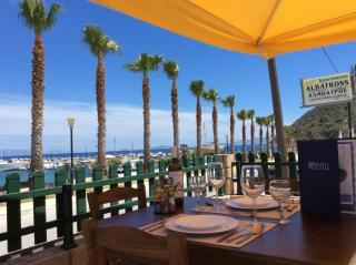 Albatross Studios - 8