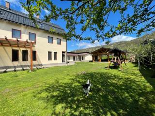 GAMA viseu de sus - 8