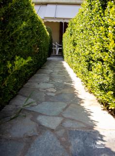 Eirini Kasimiotou Apartments - Agios Andreas Messinias - 5