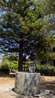 Eirini Kasimiotou Apartments - Agios Andreas Messinias - 2