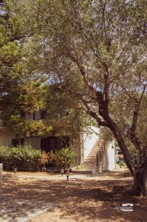 Eirini Kasimiotou Apartments - Agios Andreas Messinias - 7