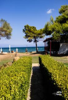 Eirini Kasimiotou Apartments - Agios Andreas Messinias - 0