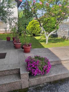 Villa Behić - Bihać - 8