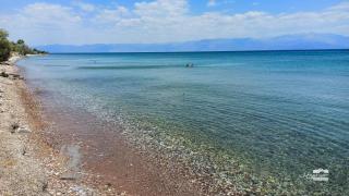 Eirini Kasimiotou Apartments - Agios Andreas Messinias - 3