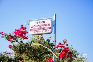 Eirini Kasimiotou Apartments - Agios Andreas Messinias - 4