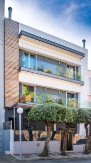 Tree Olive Athens - 9