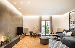 Tree Olive Athens - 8