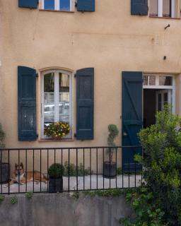 Suite parentale Au bonheur des ours - Sahorre - 3