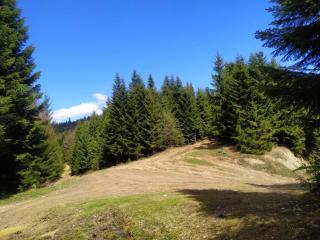 Садиба у пані Марії - Vorokhta - 5