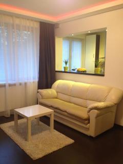 Sibiu Central Apartment - Sibiu - 5