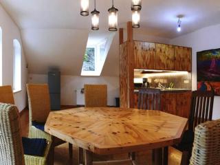 Exclusive apartment in an art nouveau villa - Großschirma - 2