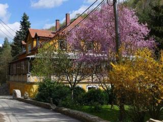 Exclusive apartment in an art nouveau villa - Großschirma - 4