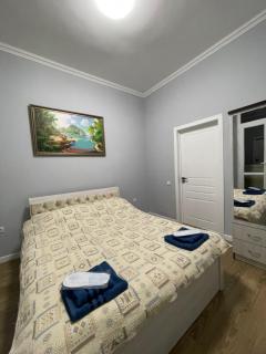 Amir Temur Apartment in center After renovation - Tashkent - 2