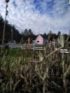 Bajkowy domek Villa Rosa na Kaszubach - Grzybowo - 3
