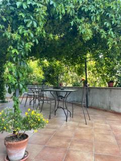 Agriturismo Torre Ercolana - Anagni - 6