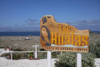 Las Hualas - Punta de Choros - 6