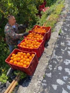 Agriturismo Le Case Di Civi - 3