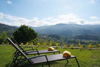 Quinta da Enxurreira - Ponte de Lima - 3