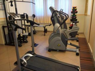 Hotel Olisamir - Cavedago - 4