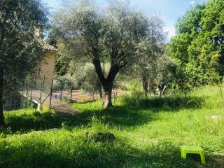 Residence Lou Naouc - Grasse - 1