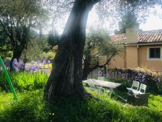 Residence Lou Naouc - Grasse - 2