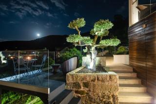 Quinta das Pedras Novas - Covas - 6