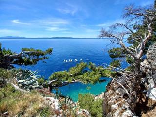 Apartmani kike - Makarska (Macarsca) - 3