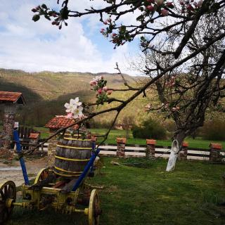 Etno Konak Angela - 3