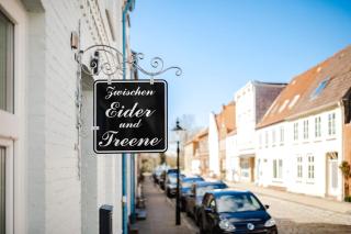 Zwischen Eider und Treene - Friedrichstadt - 9