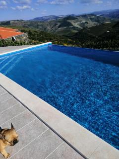 Quinta Teoria - Teoria Guest House - Sabrosa - 3