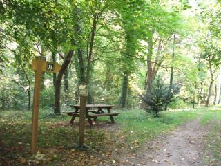 Gite la petite pataudiere - 2