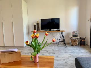 Luchsbutze - Sankt Andreasberg - 8