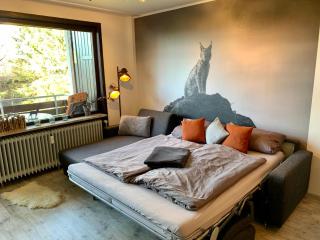 Luchsbutze - Sankt Andreasberg - 6