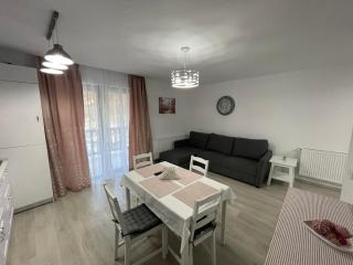 Castle Residence apt. Eminescu - Buşteni - 8