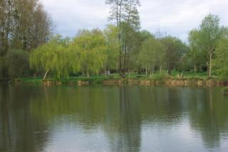 Gite la petite pataudiere - Le Guédéniau - 2
