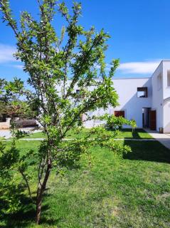Apartments Leticia - Vrsi - 6