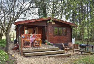 The Cabin at The Oaks - Fordingbridge - 8